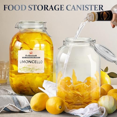 1 Gallon Glass Jar with Airtight Lid, Large Mason Jar, Pickle Jars, 128 OZ