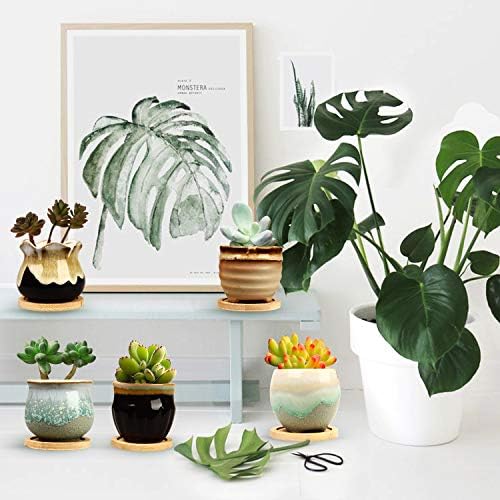 2.1 Inch Ceramic Small Succulent Pot,Plant Pots,Mini Flower Pots | Ceramic Succulent Pots with Drainage,Small Planter for Mini Plant Flowing Glaze Base Serial Set with Holes for Indoor,Outdoor