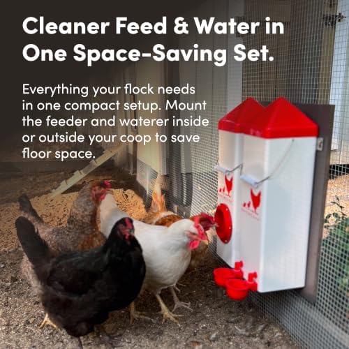 RentACoop High Rise 2 Gallon Chicken Waterer and 10lb Feeder Set