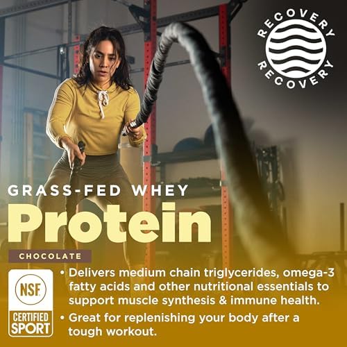 Gnarly Nutrition Chocolate Protein Powder – NSF Sport Certified – 25g Protein, Muscle Repair – Grass Fed Whey Powder, Smooth Taste – Chocolate, 32 oz
