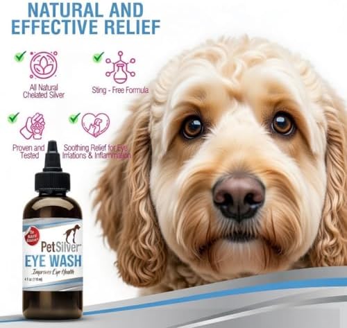 PetSilver Eye Drops for Dogs and Cats, Dog Eye Wash, Silver, 4 fl oz