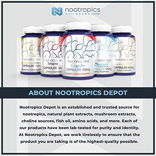 Nootropics Depot Green Tea Extract Tablets | 60 Count | 500mg | Minimum 45% EGCG + 6mg Piperine | Enteric Coated