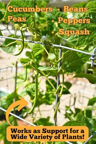 Happy Trees Large Heavy Duty Folding Tomato Cages, 3-Pack, Made in USA