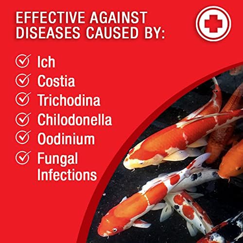 MICROBE-LIFT BSDT16 Broad Spectrum Disease Treatment for Ponds and Outdoor Water Garden, Safe for Live Koi Fish, Goldfish, Plants, and Decor, 16 Fl Oz