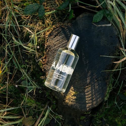 Amber Eau de Toilette | A Timeless, Evolving Fragrance | Fresh Greenery, Earthy Vetiver & Warm Amber | Effortlessly Elegant & Long-Lasting (100ml)