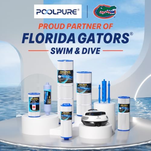 POOLPURE PXST100 Pool Filter Replaces Hayward X-Stream CC1000 1PACK