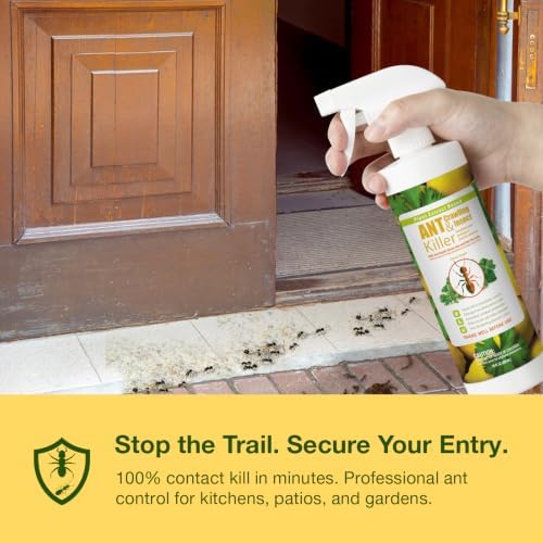 EcoVenger By EcoRaider Ant Killer & Crawling Insect Killer, 16 OZ Ready to Use, Indoor & Outdoor, Kills & Repels, Lasting Prevention, Natural & Non-Toxic Plant Based Formula, Pleasant Citrus Scent
