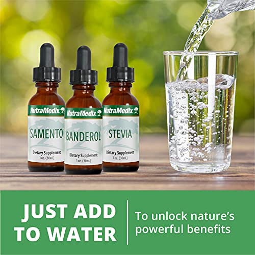 NutraMedix Chanca Piedra Stone Breaker Drops - Liquid Supplement for Kidney and Liver Health, Gallbladder Support & Urinary System Support (1oz / 30ml)
