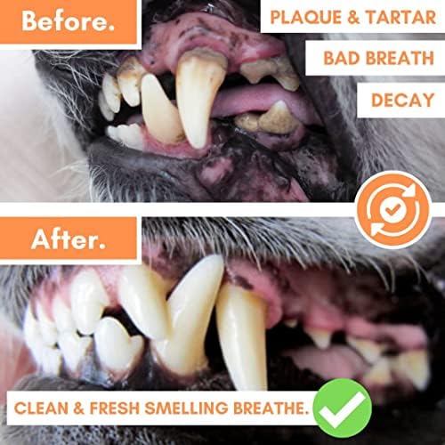 DogsLife Dog Tooth Wipes | Quick & Easy Finger Wipes for Teeth | Remove Tartar & Fight Bad Breath | Naturally Soothing Aloe Vera & Peppermint! Pack
