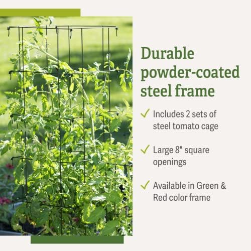 Gardener’s Supply Company Extra Tall Heavy-Guage Square Tomato Cages | Easy Fold Plant Supports & Vegetable Garden Stakes | 14.25" x 14.25" x 65"