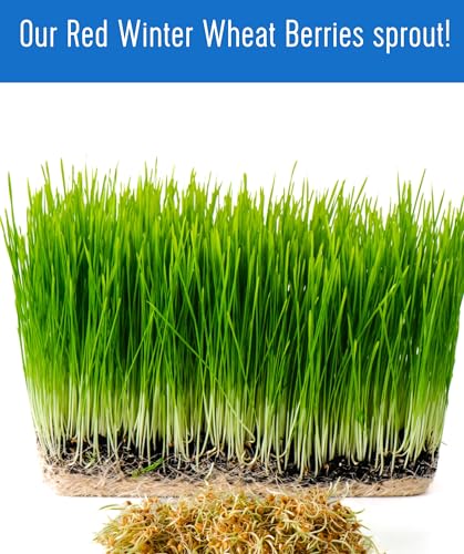 Palouse Brand Certified Glyphosate Residue Free Hard Red Winter Wheat Berries | 25 LBS Bag | Sproutable | Non-GMO Project Verified | Kosher