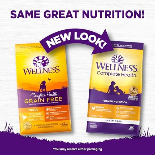 Wellness Complete Health Puppy Dry Dog Food, Grain Free Kibble, Natural, Chicken and Salmon Recipe, 24 lb Bag