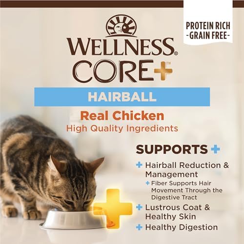 Wellness CORE+ Adult Dry Cat Food, Natural, Wholesome Grains Kibble, Digestive Health Chicken and Rice Recipe, 5 lb Bag