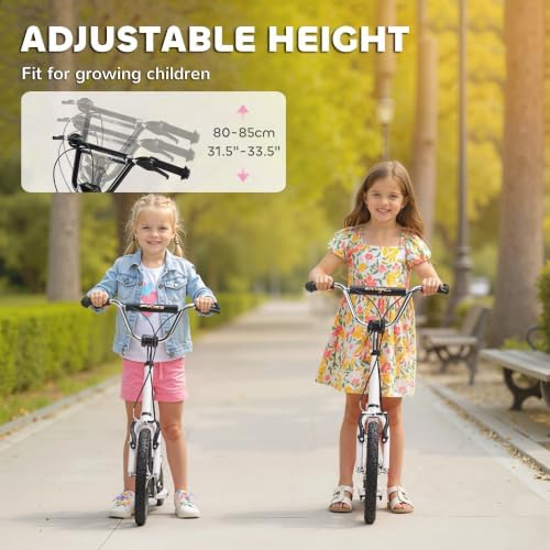 Aosom Kick Scooter with Dual Caliper Brakes Ages 5+ Max Load 220lbs