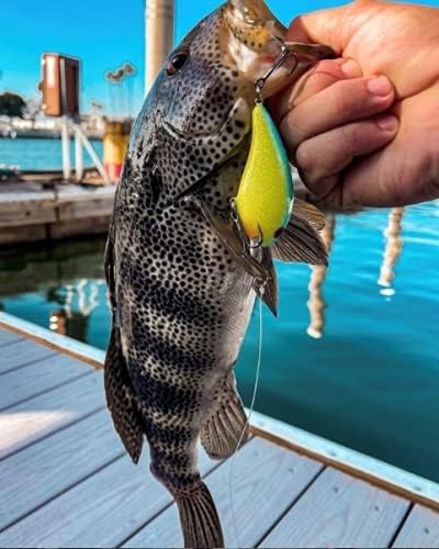 Arbogast Hula Popper Topwater Bass Fishing Lure