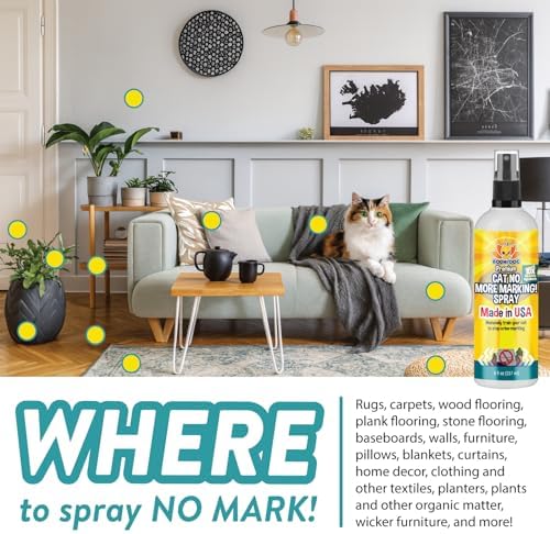 Bodhi 3-in-1 Cat & Kitten Training Aid - Cat Deterrent Spray for Indoor and Outdoor Use - Repellent to Establish Boundaries, Keep Cats Off Furniture