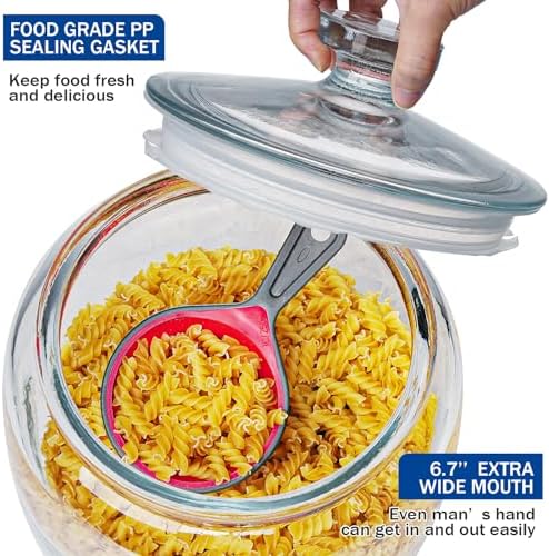 Daitouge 2.5 Gallon Glass Jars with Lids, Wide Opening Large Jar, 1 Pack