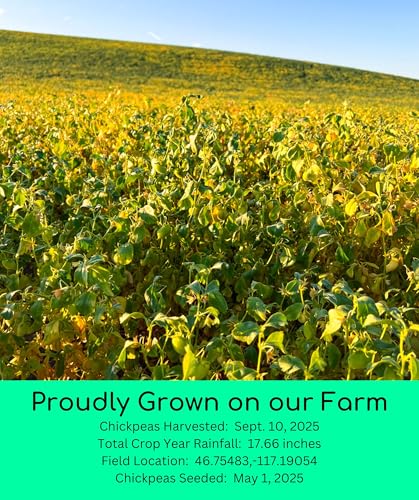 Palouse Brand Certified Glyphosate Residue Free Chickpea Flour | 3 LBS | Family Farmed in Washington State | Unbleached | Non-GMO Project Verified