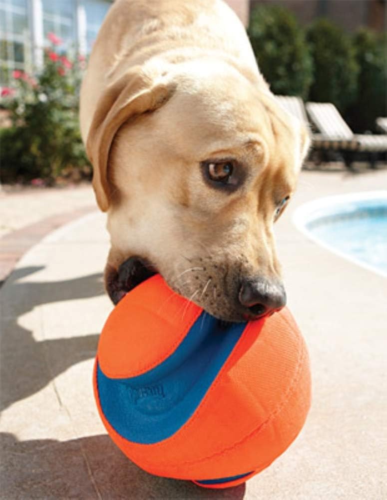 Chuckit! Kick Fetch Ball Dog Toy, Floats in Water, Large 8 Inch Diameter | Durable rubber and foam build, interactive play design, great for pool or lake sessions, built for big breed dogs each day