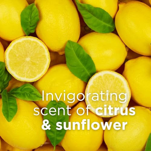Andalou Naturals Citrus Sunflower Uplifting Body Lotion, 8 fl.oz (Packaging may vary)