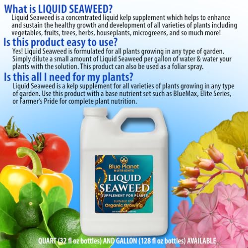 Liquid Kelp Seaweed Fertilizer Concentrate - Blue Planet Nutrients Ascophyllum Nodosum Liquid Seaweed Supplement - Makes 470 Gallons - Quart (32 oz)