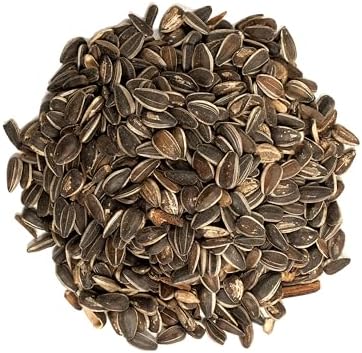 Wagner's 62028 Striped Sunflower Seed Wild Bird Food, 5-Pound Bag