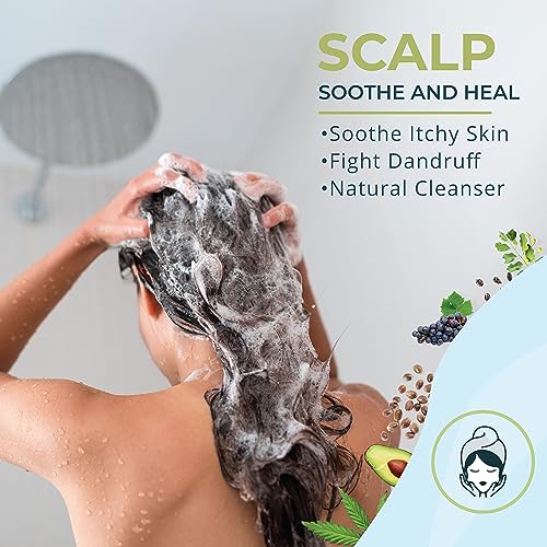 Zatural Neem Shampoo | Gentle Scalp & Hair Cleanser with Botanical Extracts | Moisturizing Wash for Softness, Volume, and Shine (8 Fl Oz)
