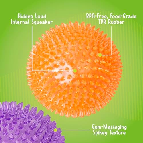 Gnawsome™ 4.5” Spiky Squeaker Ball Dog Toy - Extra Large, Cleans Teeth and Promotes Good Dental and Gum Health for Your Pet, Colors will vary