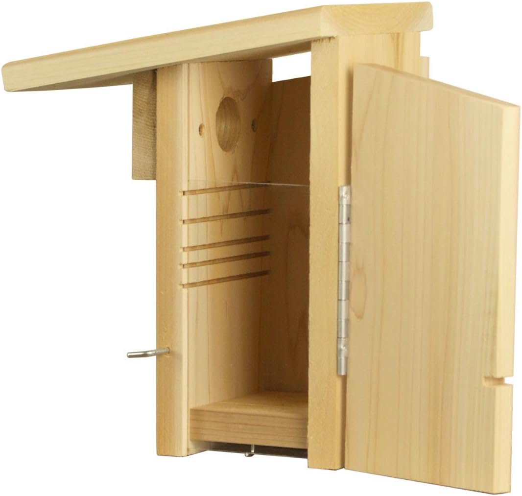 Cedar Super Bluebird House with Steel Pole Package (1)