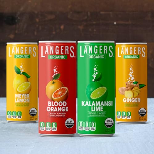 Langers Organic Flavored Sparkling Water, Ginger, 12 Fl Oz (Pack of 8)