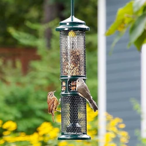 Squirrel Buster Nut Feeder Squirrel-Proof Bird Feeder for Shelled Peanuts & Dried Fruit, Weight-Adjustable, Woodpecker Friendly