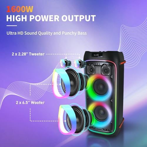 The platiunm DK65 Party Speaker Karaoke Systems for Adults with 2 Wireless Microphone, Bass and Treble Adjustment, with LED Lights, 23K Songs