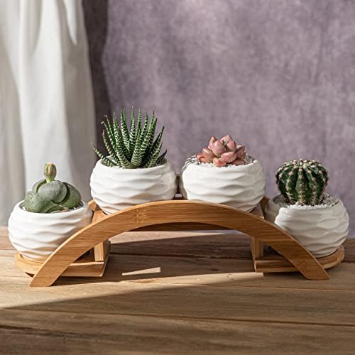 E-liu Eliu Cute Small Ceramic Succulent Pots and Stand Set, Pack of 4 | White Succulent Planter Pot with Drainage Fits Well In Windowsills