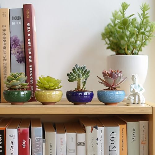 T4U 2.5 Inch Small Ceramic Succulent Planter Pot with Drainage Hole Set of 6, Ice Crack Glaze Plant Container for Cactus, Gardening Plant Gifts for Women Mom Aunt Home Office Decor | Cactus planters set, indoor herb garden, bonsai tree starter, tabletop…