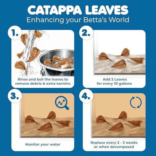 SunGrow 50 pcs Catappa Indian Almond Leaves – 2” Water Conditioner for Betta Fish Tank, Aquarium Leaf for Fish Breeding, Shrimp, Goldfish