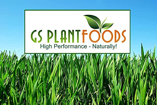GS Plant Foods Root Ruckus Compost Fertilizer Organic Plant Food - Turbo Charged Compost for Plants - Humic Acid & Sea Kelp Nutritional Root Supplement for Lawns, Soil, Shrubs & Vegetables - 1 Gallon