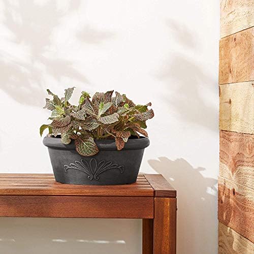 Arcadia Garden Products PSW Pot TA25DC Collection Shallow Bulb Pan Planter Dish Low Bowl for Succulents, Bonsai, Fairy Gardens, Herbs, 10-inch