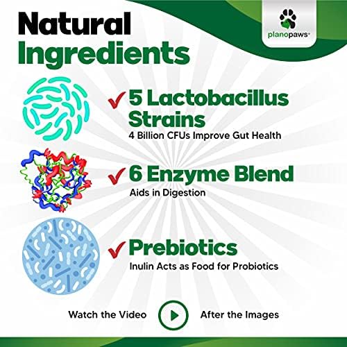 Probiotics for Dogs Digestive Health - Dog Probiotics and Digestive Enzymes - Allergy Relief for Dogs - Probiotic for Dogs Gut Health - Puppy Probiotic Tummy Treats - 120 Dog Probiotic Chews | Gut Health, Allergy and Immune, 4B CFU, 5 Strains, Chicken Fl…