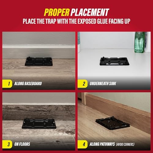 Catchmaster-16 Mouse & Insect Glue Traps, Heavy-Duty Pesticide-Free Sticky Mouse Traps Indoor for Home, Used by the PROs