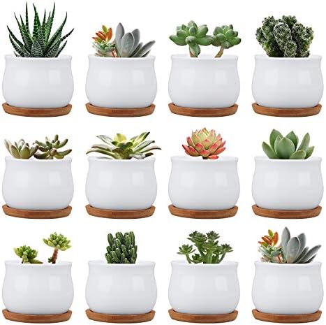 Succluent Pots ，Small Flower Pots Planter Pots with Drinage,Ceramic Flowers Pots with Bamboo Tray for Cactus(12 Pack