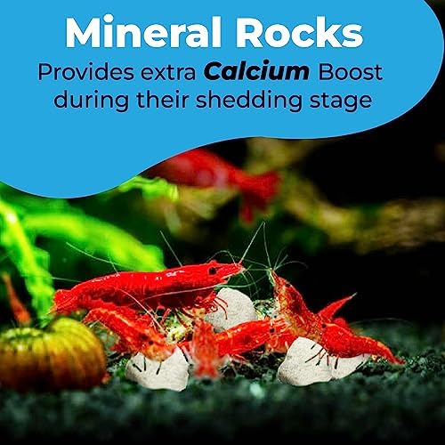 JOR Water Conditioner Calcium Rocks for Baby Shrimps, Isopods, and Crayfish, Enhances Pet Color, Provides Hideout, Breeding Spot