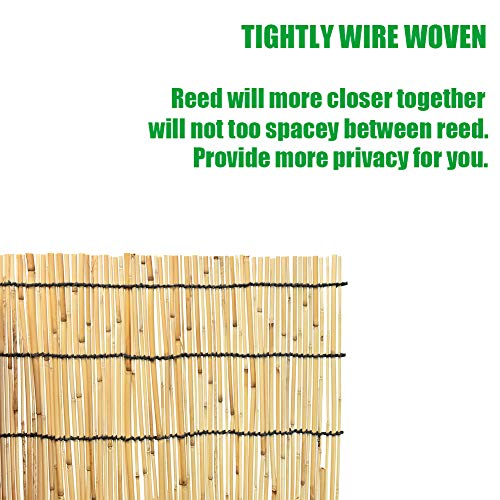 Mininfa Natural Reed Fencing, Eco-Friendly Reed Fence, 6 feet High x 13 feet Long, Reed Screen for Garden, Privacy