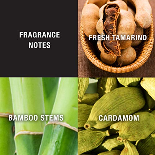 Lucky Brand Lucky You Eau de Toilette for Men, 3.4 fl oz | Men's fresh eau de toilette. Cologne with notes of tamarind, bamboo stems, and cardamom.