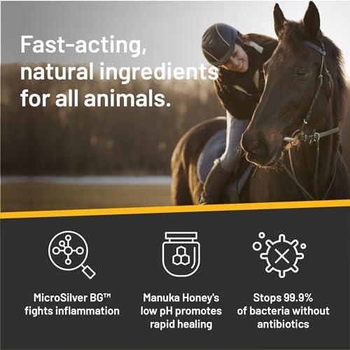 Silver Honey Rapid Wound Repair Ointment, 2 oz Tube