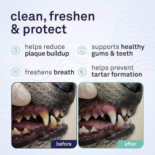 Petpost Dental Wipes for Dogs | 100 Count Presoaked Pads in Natural Tooth Cleaning Solution | Bad Breath and Tooth Buildup Remover