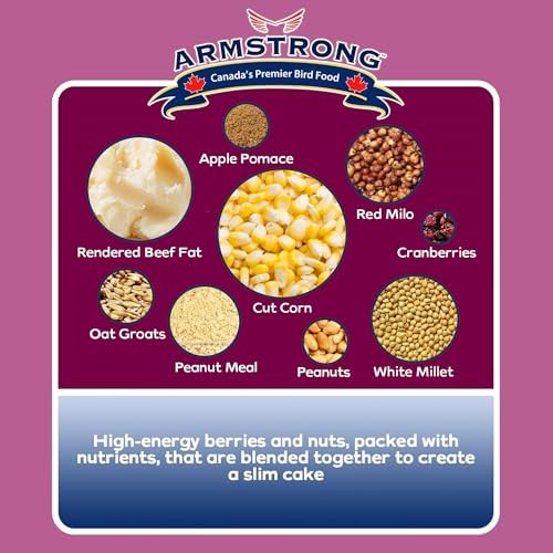 Armstrong Wild Bird Food Berry N' Nut Suet Cake, 11.3 Ounces (Pack of 3) - with Cut Corn, Rendered Beef Fat, White Millet