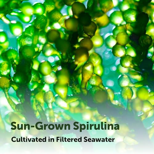 Micro Ingredients Organic Spirulina Supplement, 720 Tablets (4 Month Supply), No Filler & Non-GMO, Rich in Vegan Protein, Vitamins & Prebiotics
