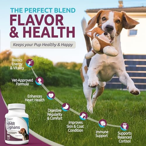 HMR Lignans for Dogs - Enhancer for Overall Wellness, Immune Support for Dogs - Norway Spruce Extract Holistic Dog Health - Digestion