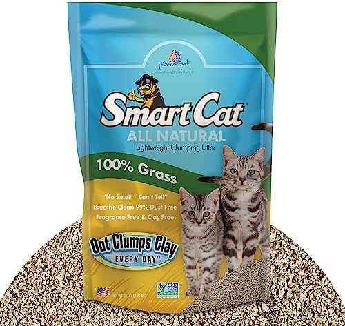 SmartCat All Natural Clumping Cat Litter, 10 Pound (160oz 1 Pack) - Alternative to Clay and Pellet Litter - Chemical and 99% Dust Free - Unscented and Lightweight