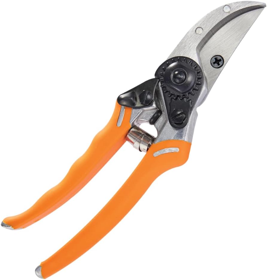 Dramm 18043 ColorPoint Bypass Pruner with Stainless Steel Blade, Yellow